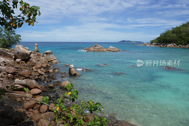 Anse Kerlan，普拉林，塞舌尔